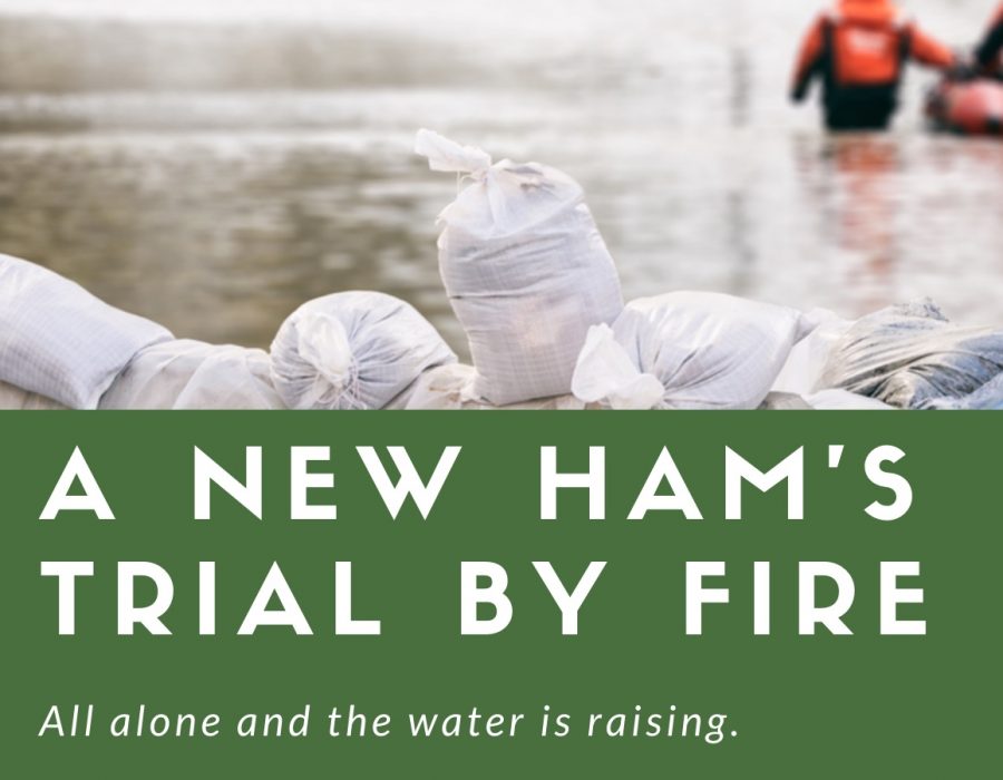New Ham